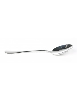 DINNER SPOON DINNER SPOON